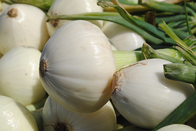 Image of Candy Onion
